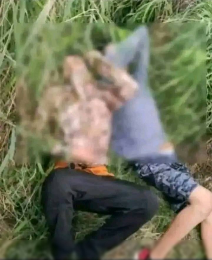 Encuentran a 2 j0venes sin Vid4 en la orilla de la carretera de1… Ver más