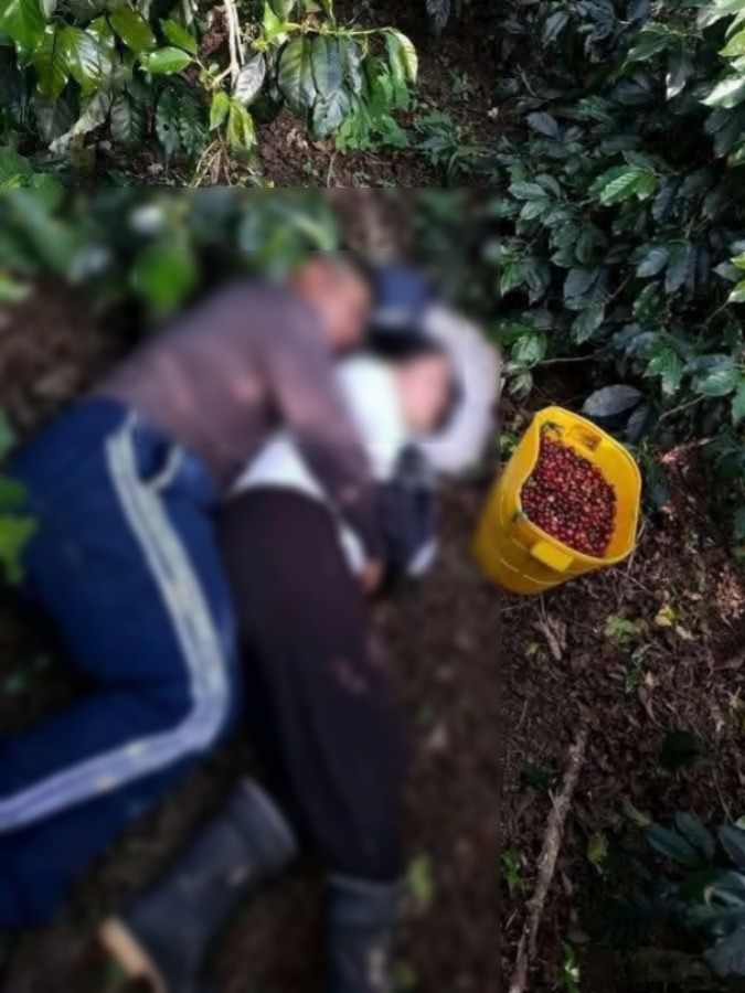 😱😱H0RR0R. Encuentran sin vid@ pareja desaparec1d@ y lo pe0r fue… Ver más