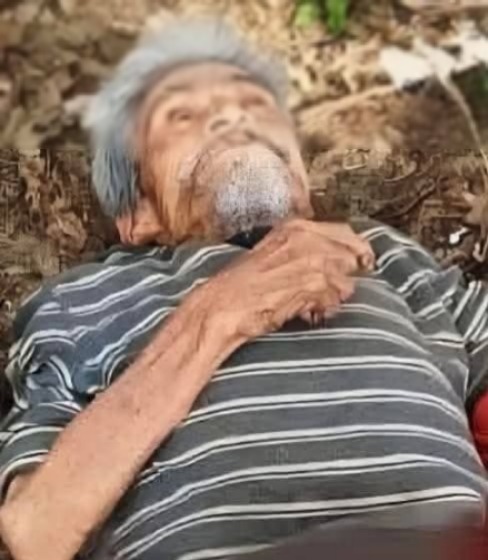 🕊️ AYUDA PARA IDENTIFICARLO Y LOCALIZAR A SU FAMILIA 00🕊️…Ver más