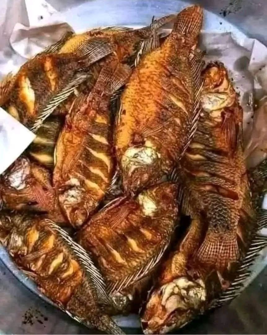 Médic0s revelan que comer Pescado 🐟 produce 990…Ver más