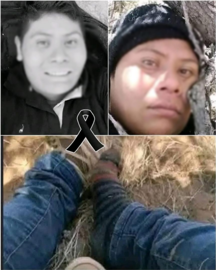 🕊️ AYUDA PARA IDENTIFICARL0 Y L00CALIZAR A SU FAMILIA 990…Ver más🕊️ AYUDA PARA IDENTIFICARL0 Y L00CALIZAR A SU FAMILIA 990…Ver más
