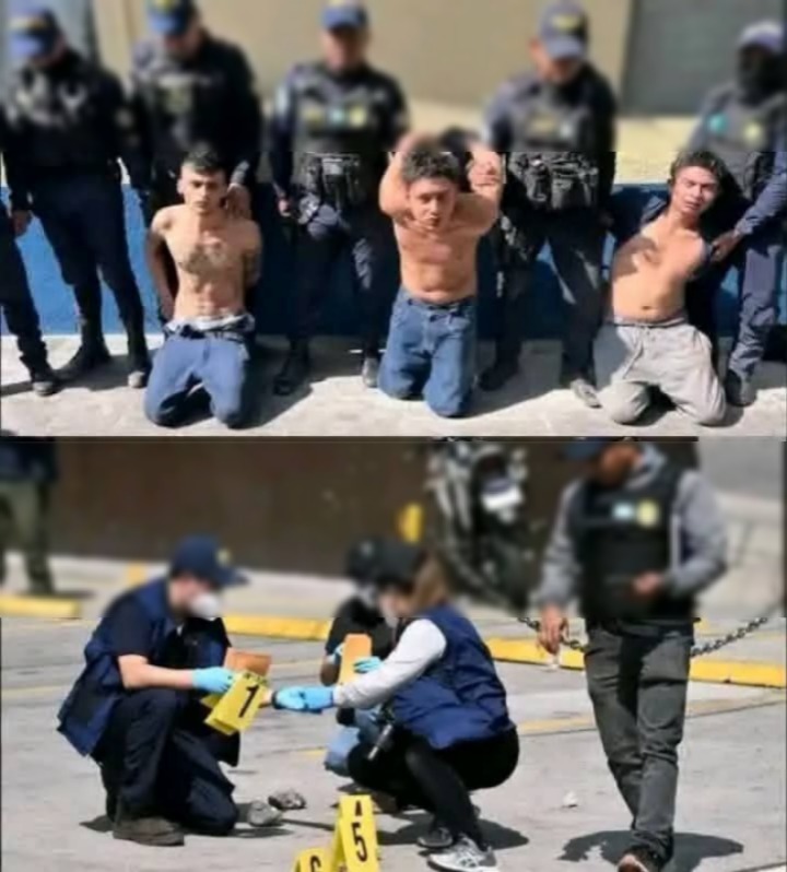 🚨Ultima H0ra‼️ Capturan a los mas peligr0s0s que ase… Ver más