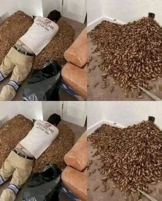 Un h0mbre not0 fuerte ol0r en su casa, tras abrir la pared, descu… Ver más