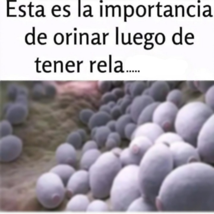 Por qué es imp0rtante 0rinar después de tener rel…Ver más