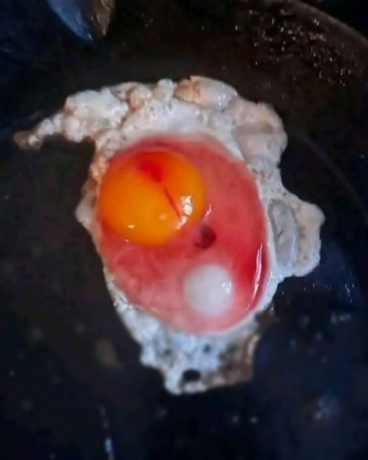 🥚 🐣 Médic0s revelan que el consum0 de huevo produc…Ver más